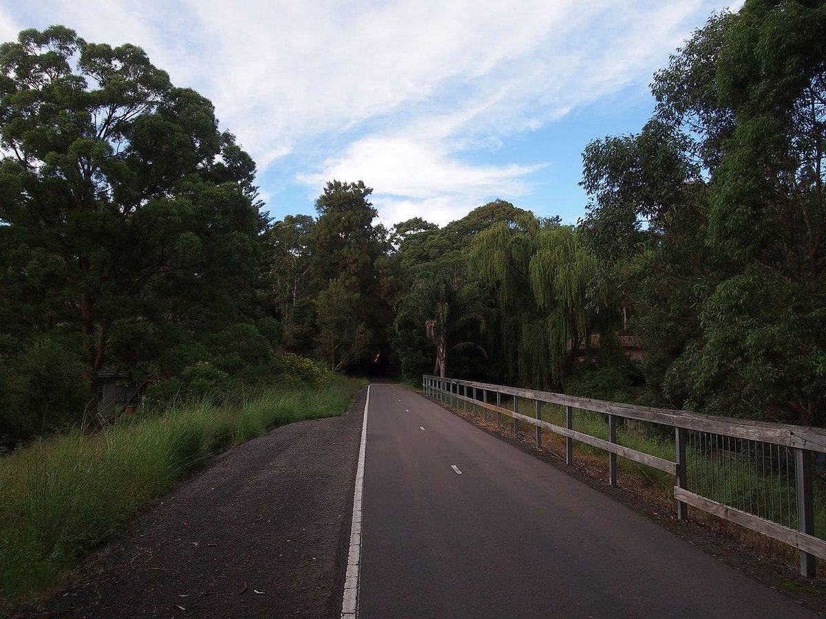 The Fernleigh Track rail trail curving through bushland, New South Wales