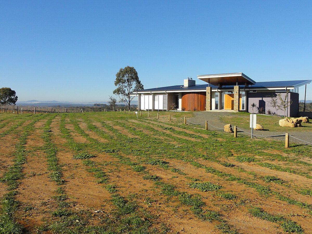 Vineyard rows and a cellar door in the Hunter Valley wine country, New South Wales