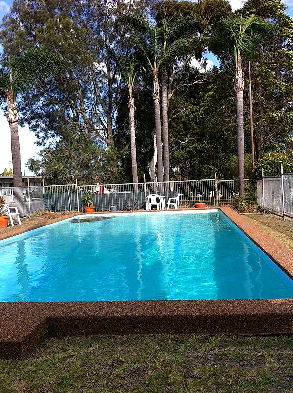 The outdoor saltwater pool at Mayfield Motel, with clear blue water, a pebblecrete surround and palm trees.